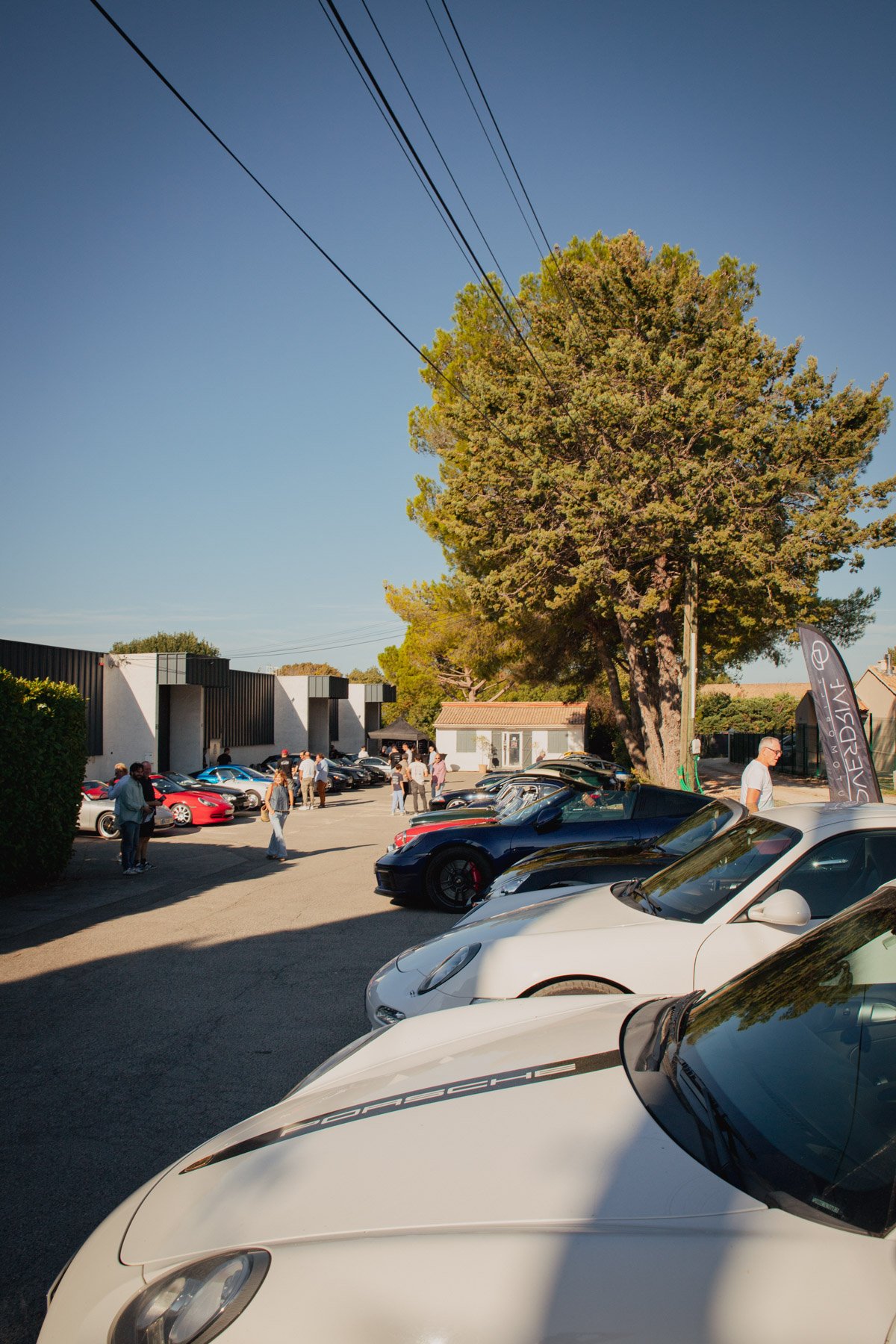 Alignement de Porsche 911 modernes sous les pins à Venelles près d'Aix-en-Provence.