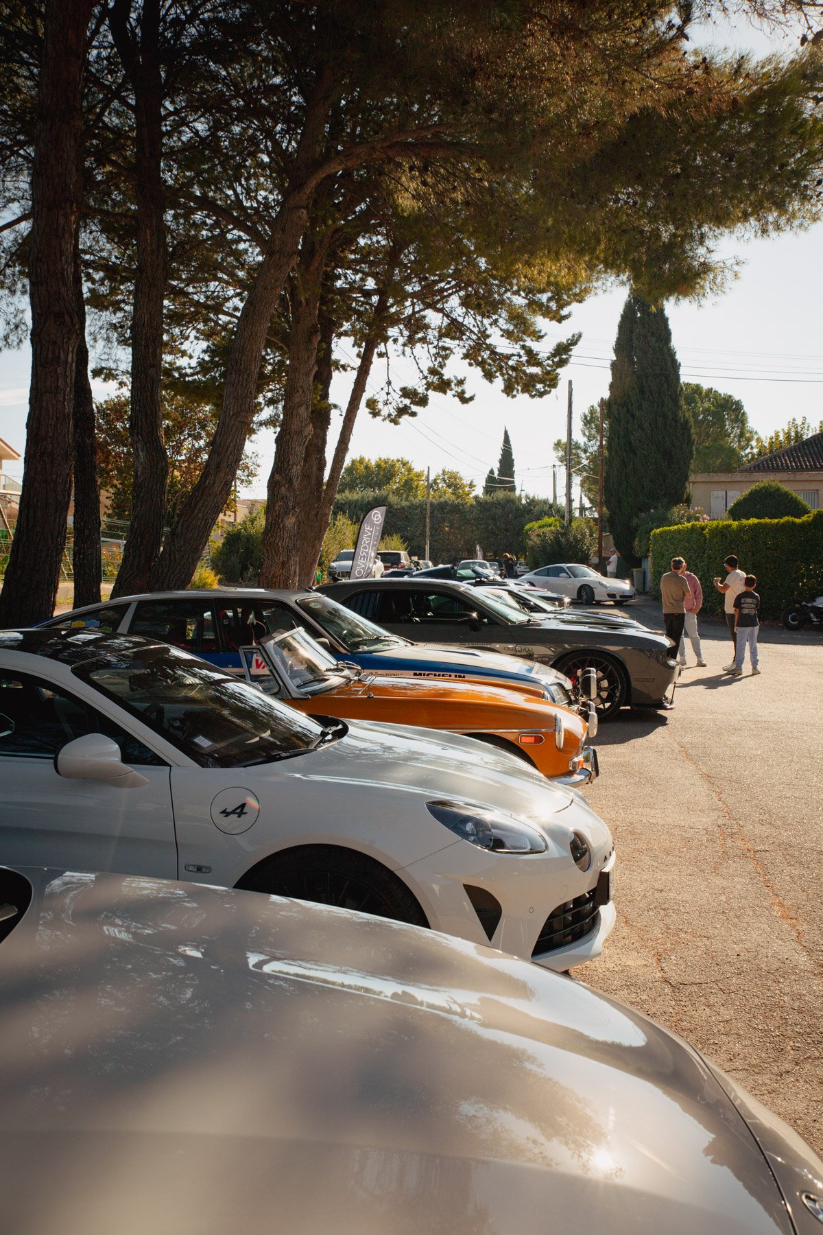 Alignement de voitures de sport et de collection sous les pins chez Overdrive Automobile à Venelles.