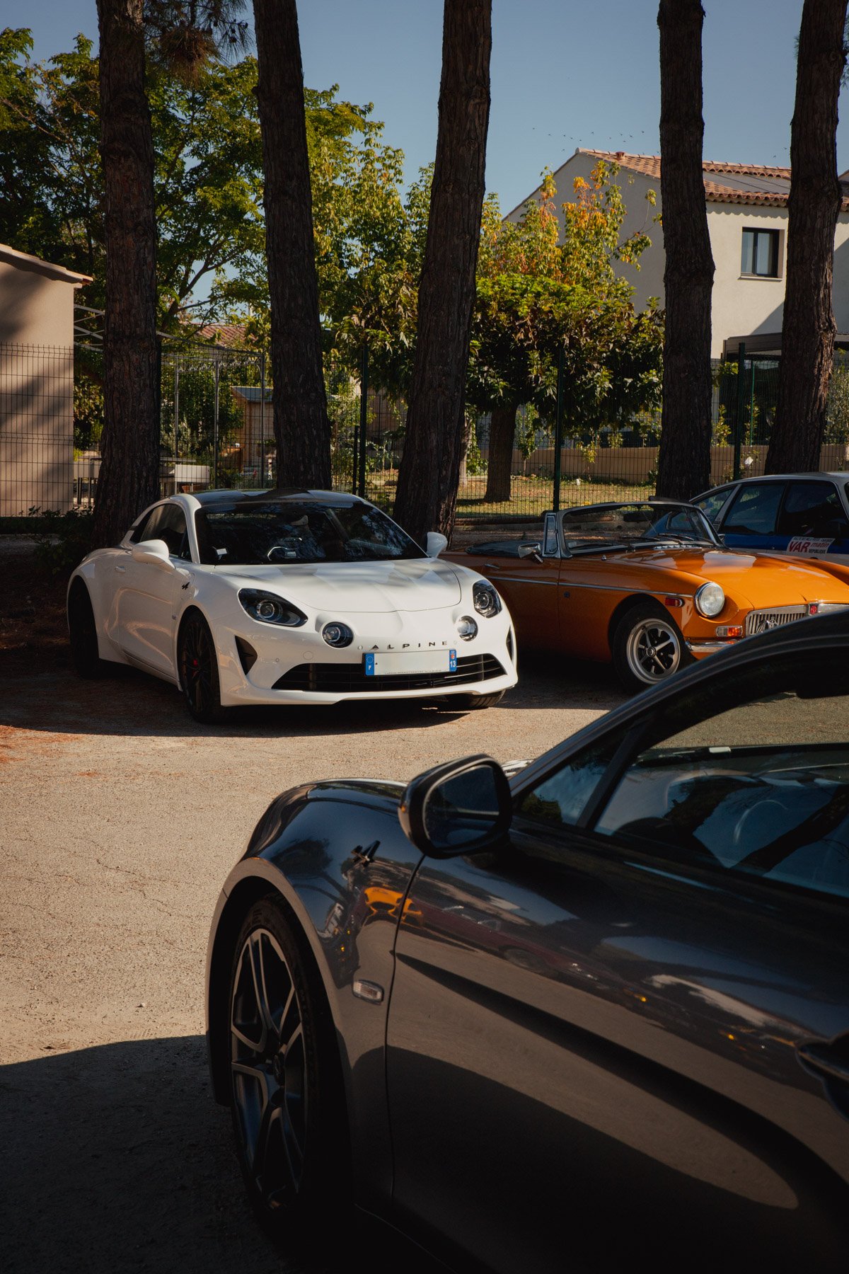 Alpine A110 blanche et MG B orange exposées sous les pins lors du rassemblement automobile