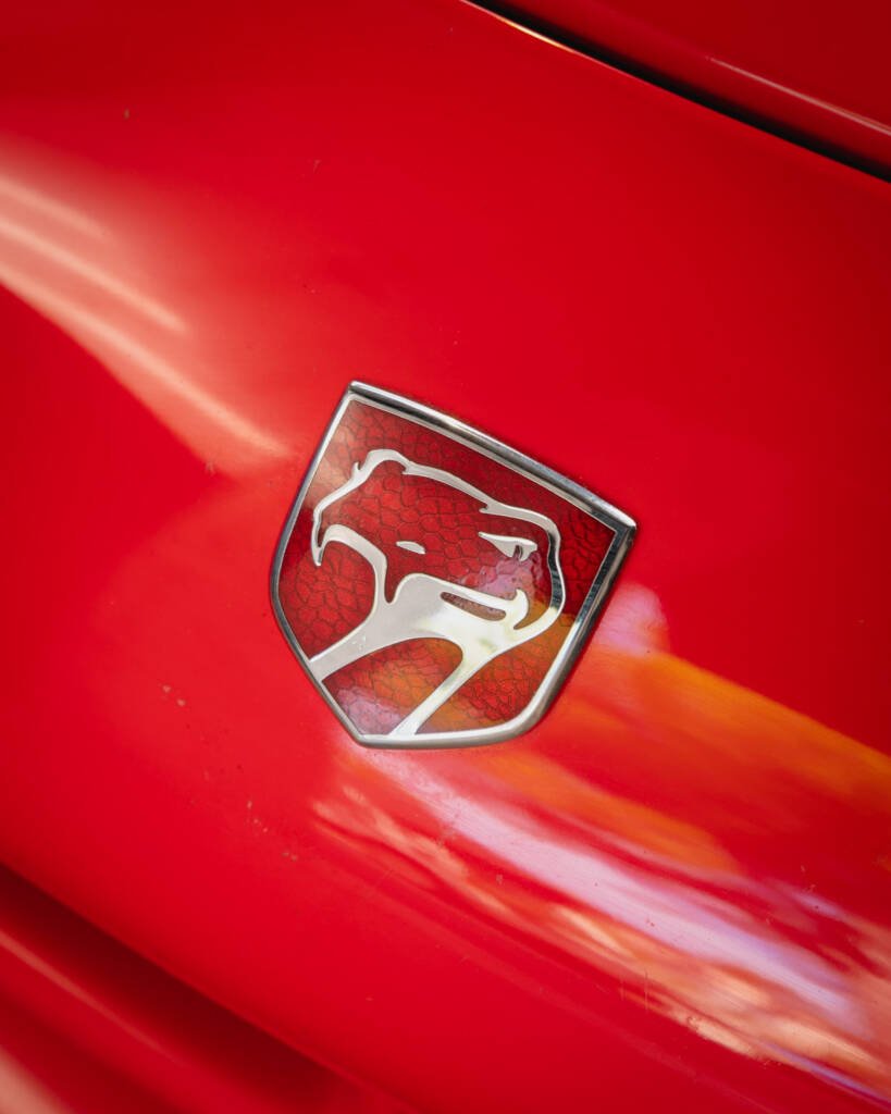 Gros plan sur l'emblème à tête de serpent de la Chrysler Viper RT/10, fixé sur la carrosserie rouge.